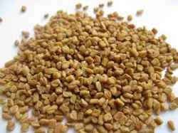 Fenugrec en graines Sénégal